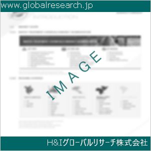 グローバルリサーチ調査資料のイメージ